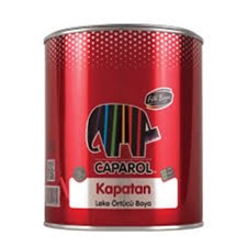 Kapatan Sentetik Leke Örtücü Boya 0,75 Lt.